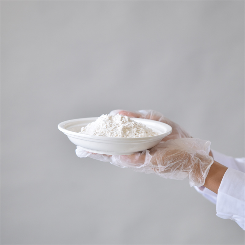Adenozín 5â-trifosfát disodná soľ CAS 987-65-5